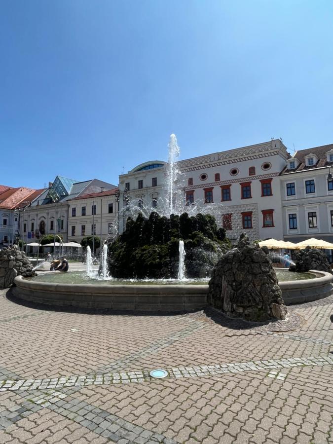 Apartman Viki Banská Bystrica Extérieur photo